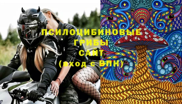 гашик Алзамай