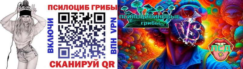 маркетплейс как зайти дарнет шоп Лагань Псилоцибиновые грибы Cubensis
